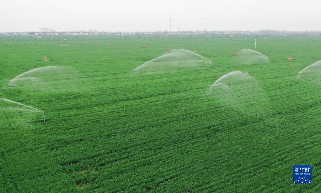 浇好“第一桶”丰收水――农村水网夯实粮食安全后盾