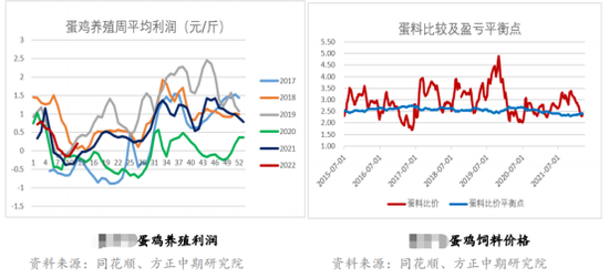 美国禽流感蛋价涨幅超52% 对国内鸡蛋影响多大？