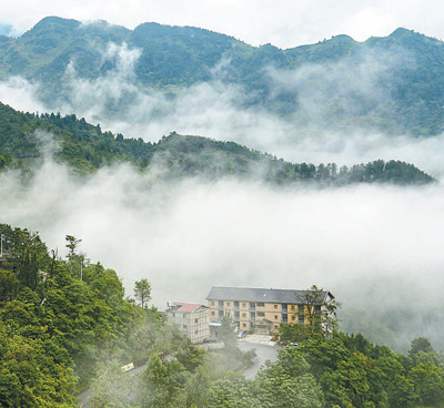 满山的春天（遇见）