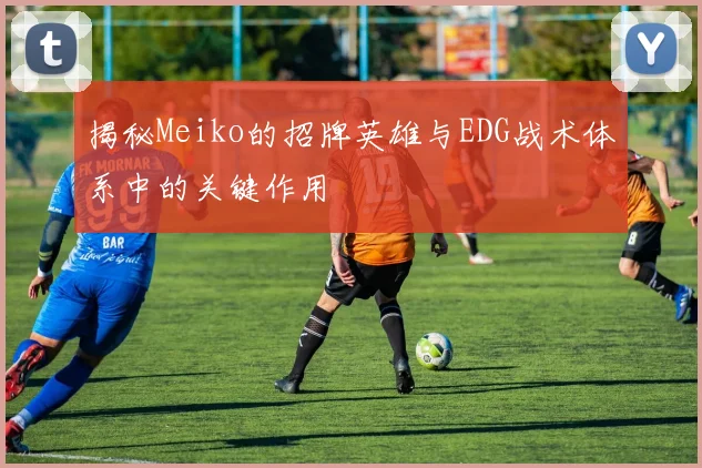揭秘Meiko的招牌英雄与EDG战术体系中的关键作用