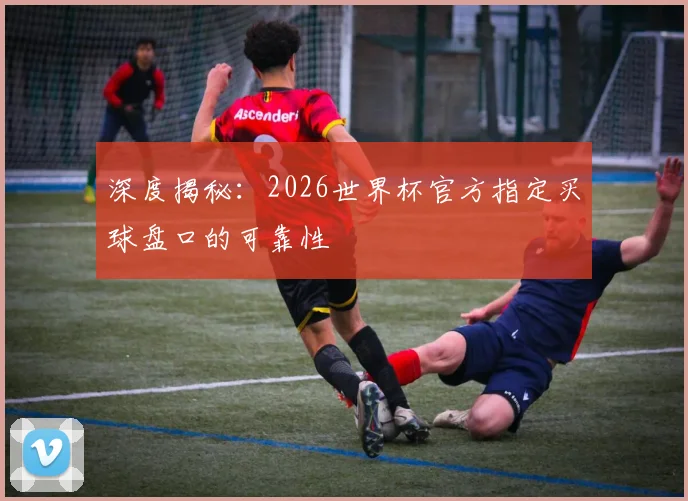 深度揭秘：2026世界杯官方指定买球盘口的可靠性