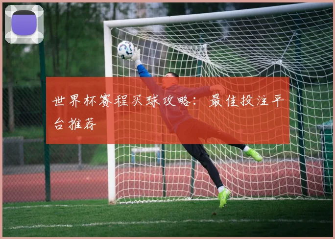 世界杯赛程买球攻略:最佳投注平台推荐