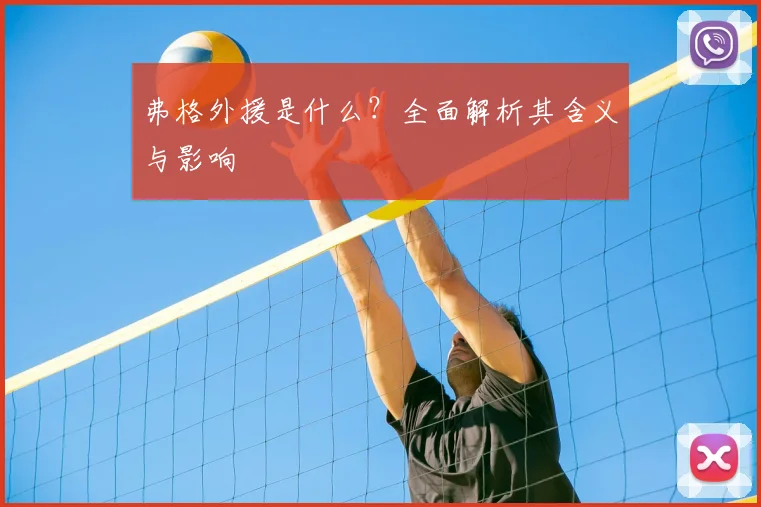 弗格外援是什么?全面解析其含义与影响