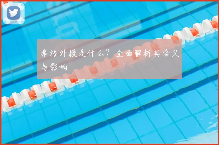 弗格外援是什么?全面解析其含义与影响