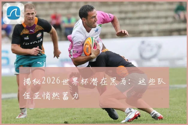 揭秘2026世界杯潜在黑马:这些队伍正悄然蓄力